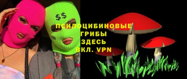 индика Бронницы
