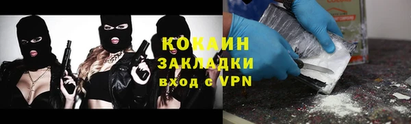 индика Бронницы