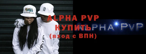 индика Бронницы