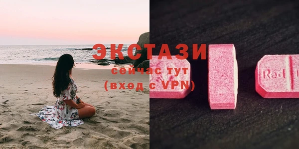 индика Бронницы