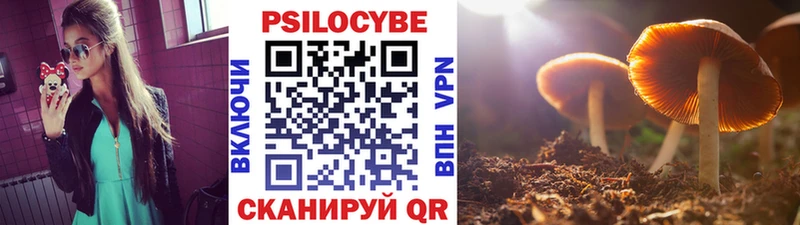 Псилоцибиновые грибы Cubensis  Купить где  Павлово 